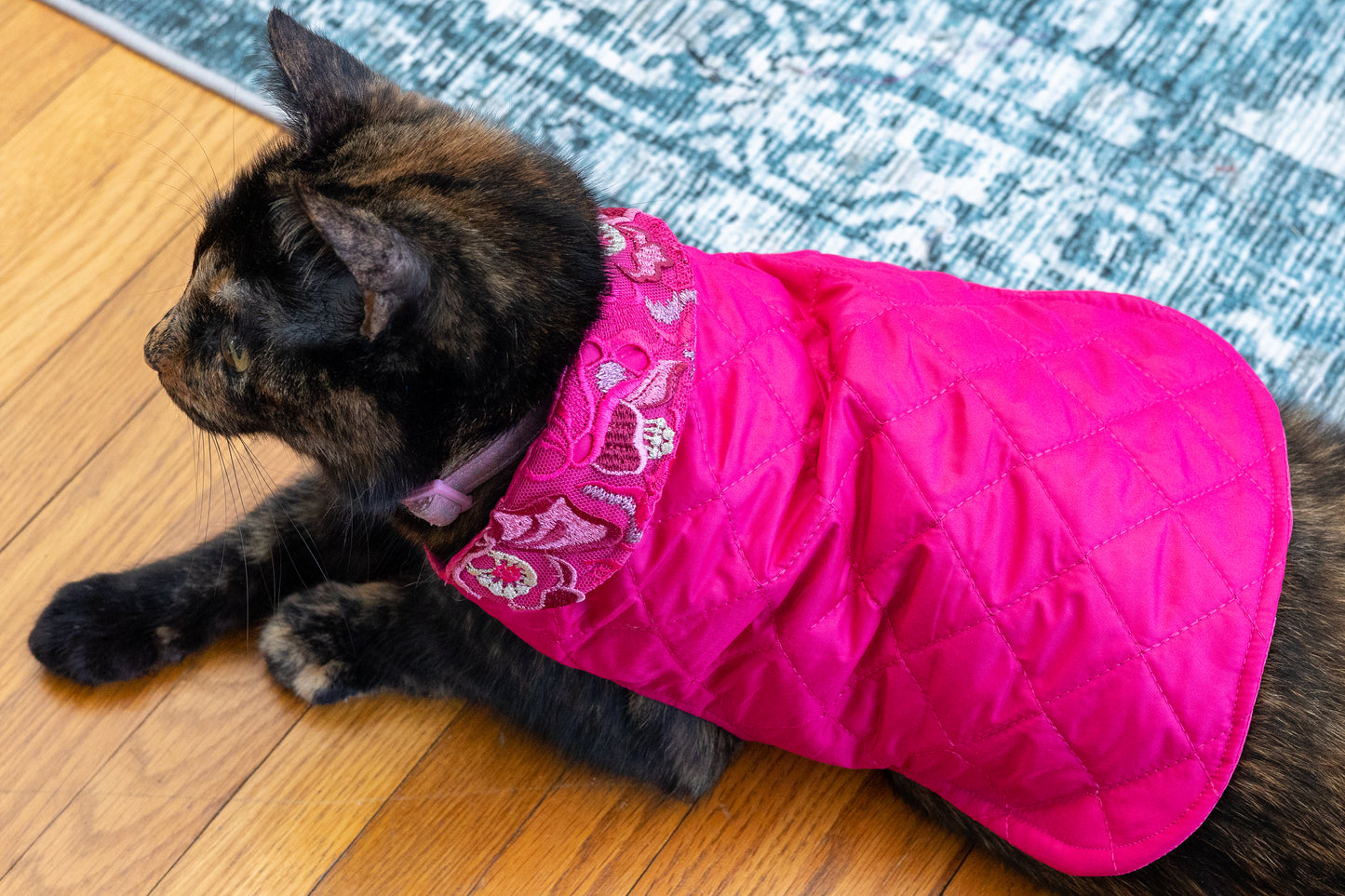 Cat or Dog Coat and Leash Bag - Beginners Sewing Class