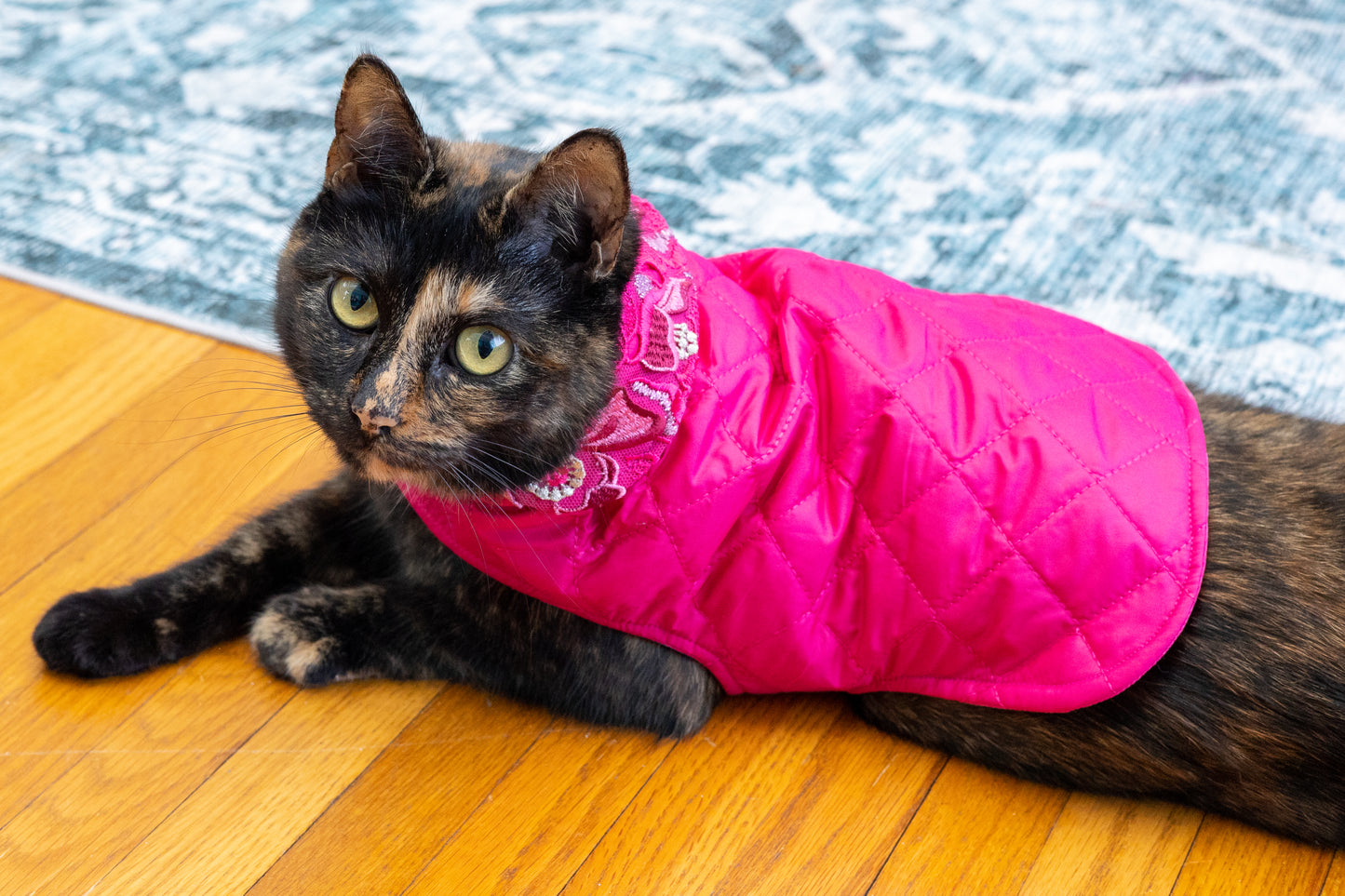 Cat or Dog Coat and Leash Bag - Beginners Sewing Class