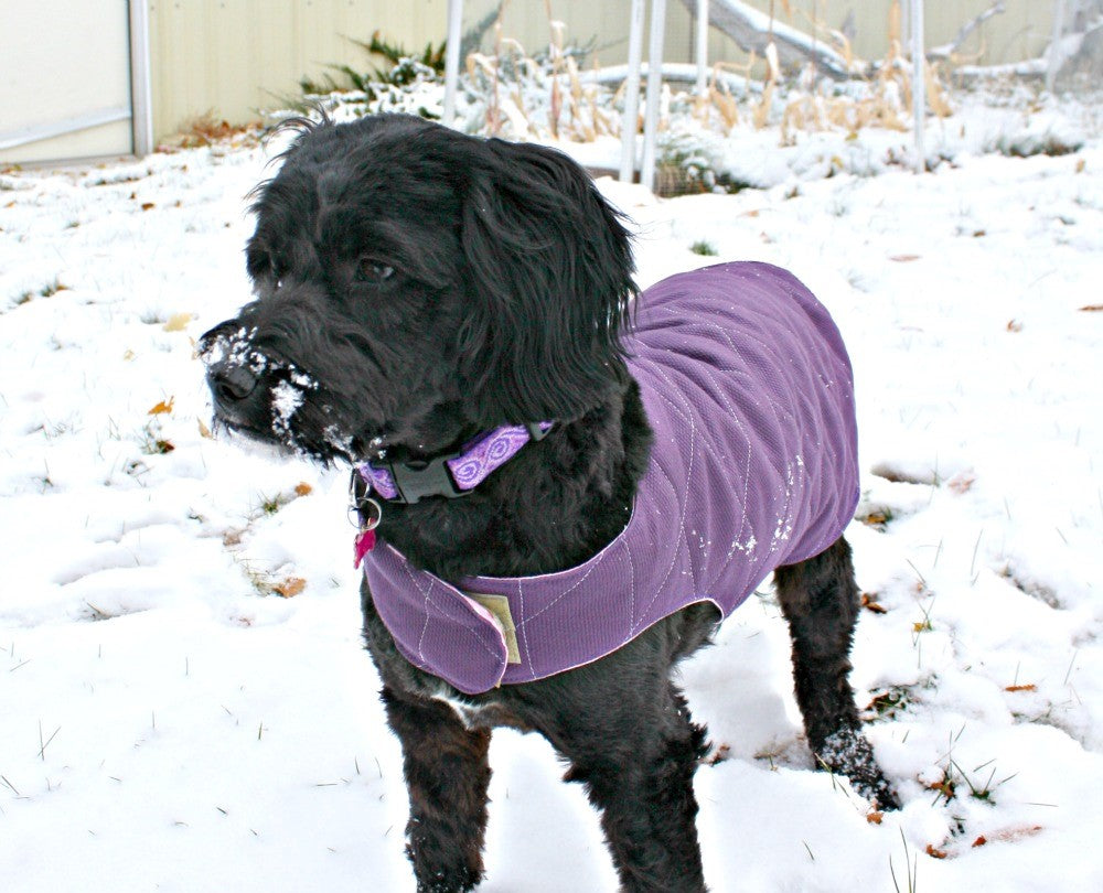 Cat or Dog Coat and Leash Bag - Beginners Sewing Class